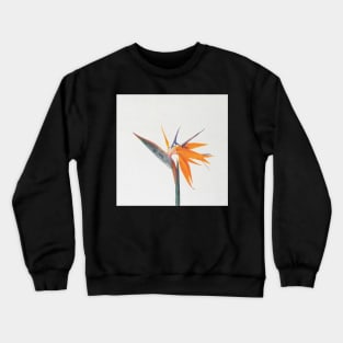 Bird of Paradise Crewneck Sweatshirt